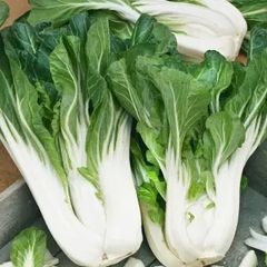 (P) Pak Choi Joi Choi F1 seeds 1g (123759)