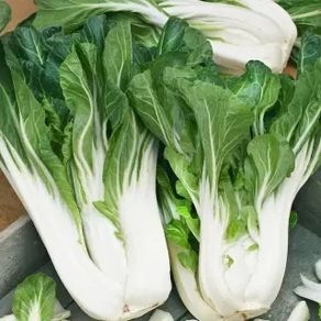 (P) Pak Choi Joi Choi F1 seeds 1g (123759)