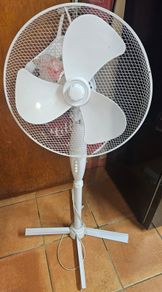 Free Standing Fan