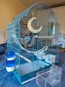 New Parrot/bird Cage Starter Kit + Tons of Accessories