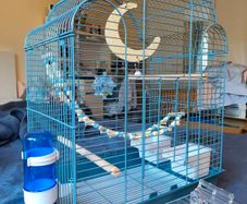 New Parrot/bird Cage Starter Kit + Tons of Accessories