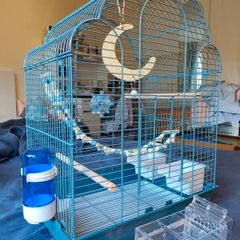 New Parrot/bird Cage Starter Kit + Tons of Accessories