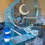 New Parrot/bird Cage Starter Kit + Tons of Accessories Image 2