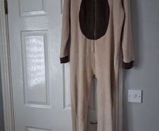 dog onesie