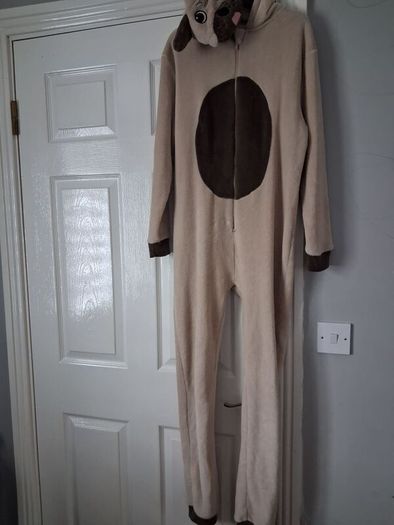 dog onesie