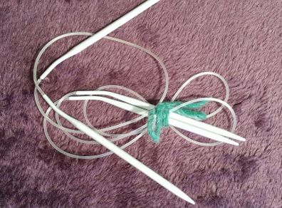 Two Circular Knitting Needles