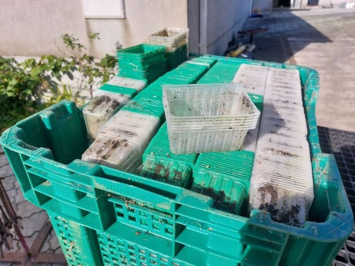 Free Seedling Trays & Planting Containers