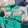 Free Seedling Trays & Planting Containers Image 2