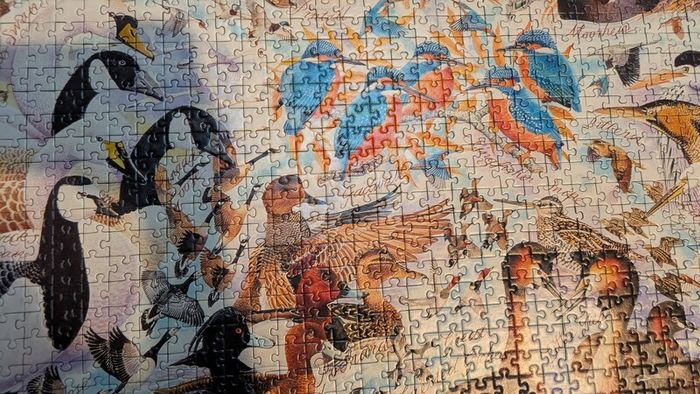 1000 jigsaw puzzle