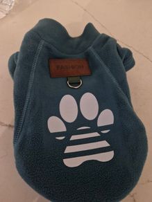 Tiny dog jumper