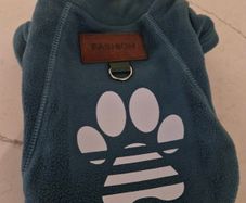 Tiny dog jumper