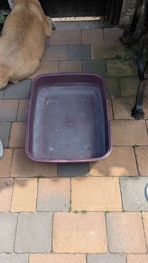 Cat Litter Tray