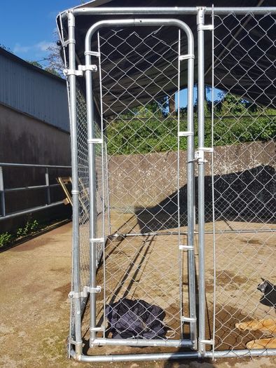 20 X 10ft Dog Run
