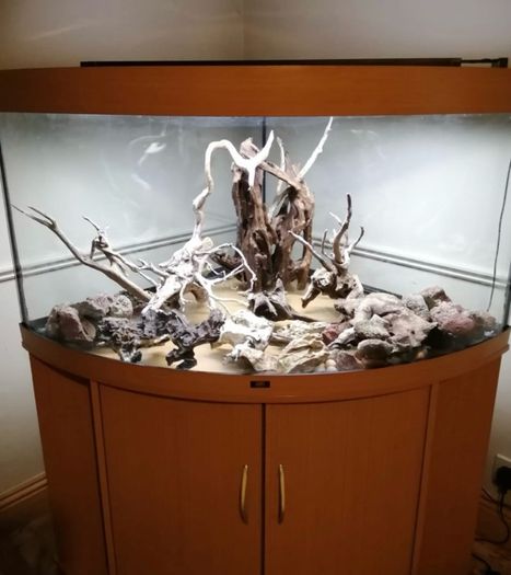 Two Beautiful Fish Aquariums A JEWEL Rio 180 and a JEWEL Trigon 350