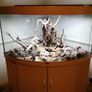 Two Beautiful Fish Aquariums A JEWEL Rio 180 and a JEWEL Trigon 350 Image 2