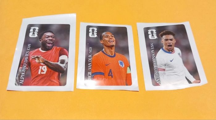 Panini World Cup Stickers