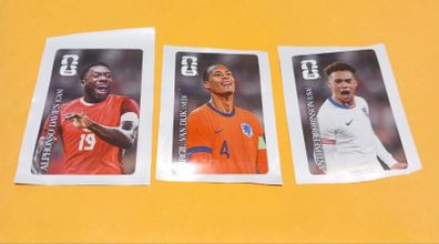 Panini World Cup Stickers