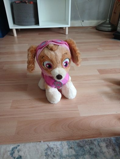 sky build a bear