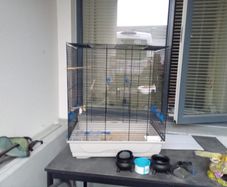 big bird cage for sale all perches drinkers nest pan and dummy eggs with it i adopted the birds out of it