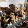 Bears regency fine arts Image 7