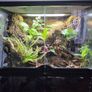 Complete Bio Active Terrarium Image 6