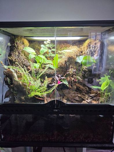 Complete Bio Active Terrarium