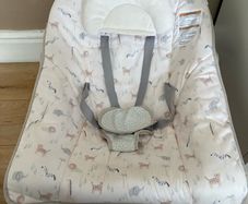 Ingenuity 3in1 Baby Bouncer