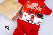 Small dog Christmas outfit