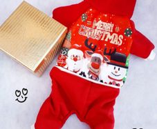 Small dog Christmas outfit