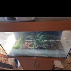 fish tank juwel 125