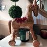 New vintage inspired 45cm high hand carved horse on wheels with washed wood finish Image 9