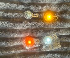 dog collar lights
