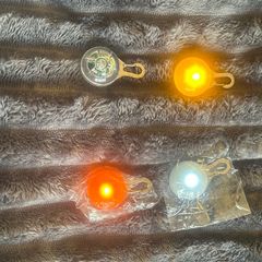 dog collar lights
