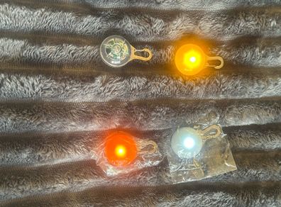 dog collar lights