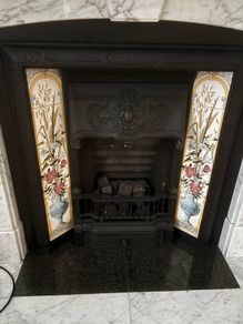 fire insert with gas fire
