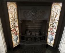 fire insert with gas fire