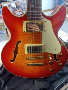 JT-137 Sunburst -hollow body -Jay Turser