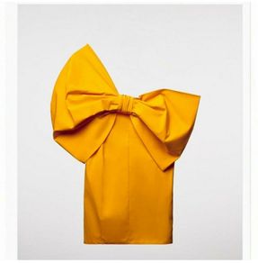 zara bow dress