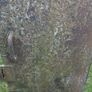Vintage industrial Metal Cabinet ,Safe Image 5