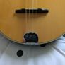 Bouzouki  By  Ashbury Image 8