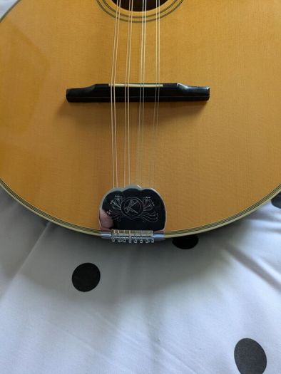 Bouzouki  By  Ashbury