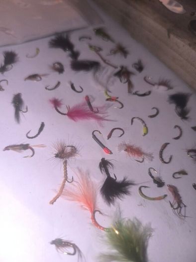 lureflash quality assorted fly selection 50 flies in viper hooks