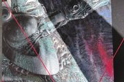 Lost Paradise. Paradise Lost official 2014 release in nm condition