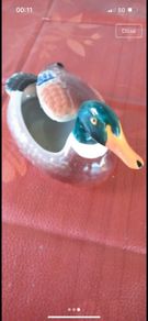 Country duck storage ornament