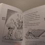 Ottoline and the yellow cat by Chris Riddell Image 7