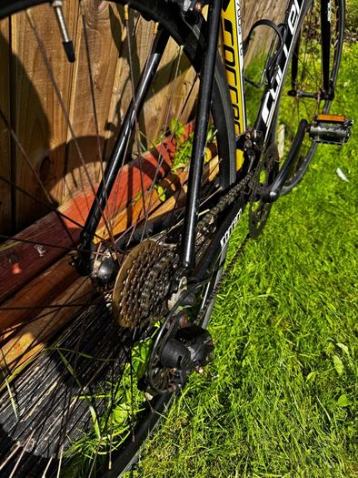 Carrera Road Bike