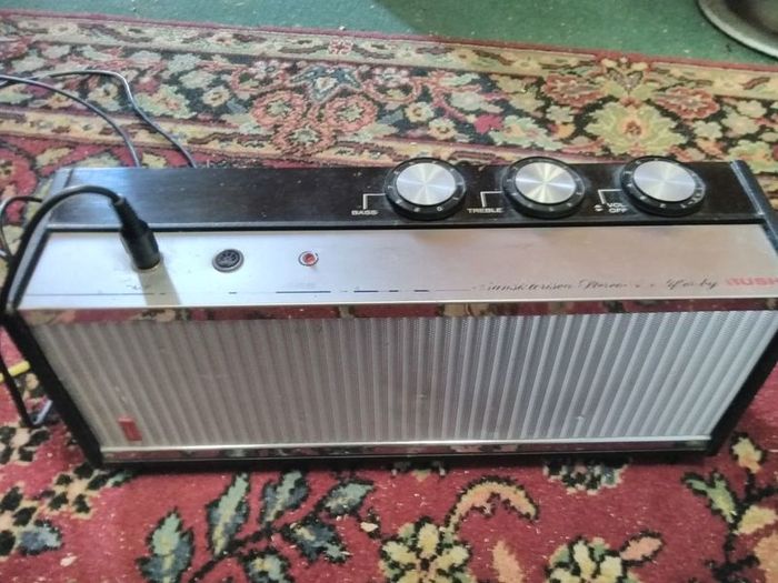 Rare Bush Amp