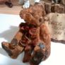 bears Image 4