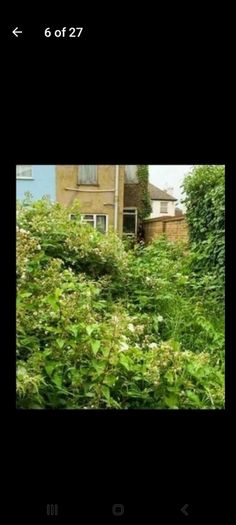 T&m gutter and  garden service