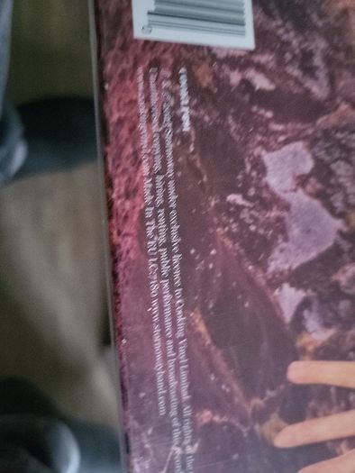 STORNOWAY Dig The Mountain coloured vinyl
